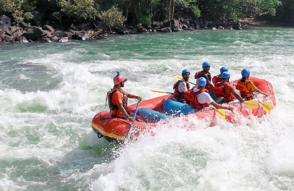 a56ba3_84f1f966846241fca587a52b3e2c030b~mv2